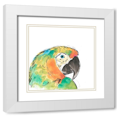 Tropical Bird Portrait IV White Modern Wood Framed Art Print with Double Matting by Vess, June Erica