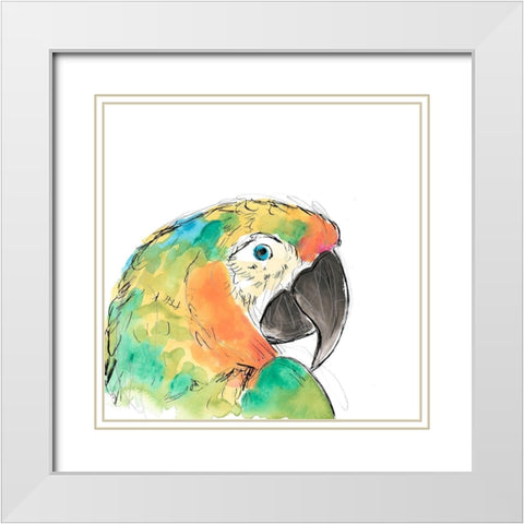Tropical Bird Portrait IV White Modern Wood Framed Art Print with Double Matting by Vess, June Erica