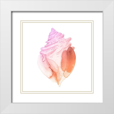 Sunset Conch II White Modern Wood Framed Art Print with Double Matting by Green, Jacob