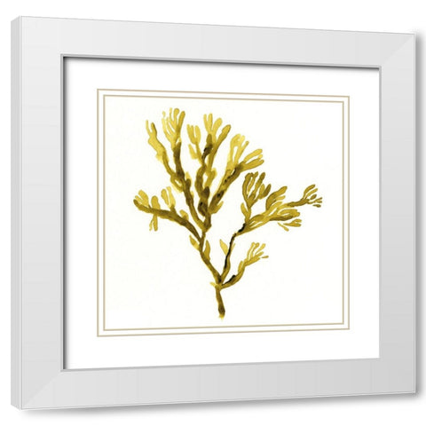 Suspended Seaweed I White Modern Wood Framed Art Print with Double Matting by Green, Jacob