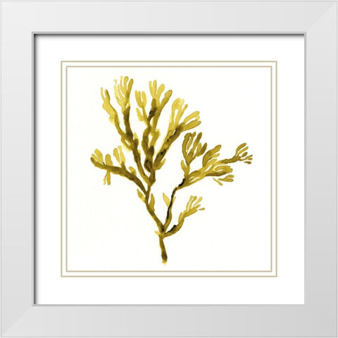 Suspended Seaweed I White Modern Wood Framed Art Print with Double Matting by Green, Jacob
