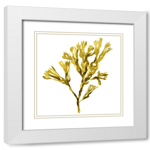 Suspended Seaweed II White Modern Wood Framed Art Print with Double Matting by Green, Jacob