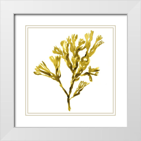 Suspended Seaweed II White Modern Wood Framed Art Print with Double Matting by Green, Jacob
