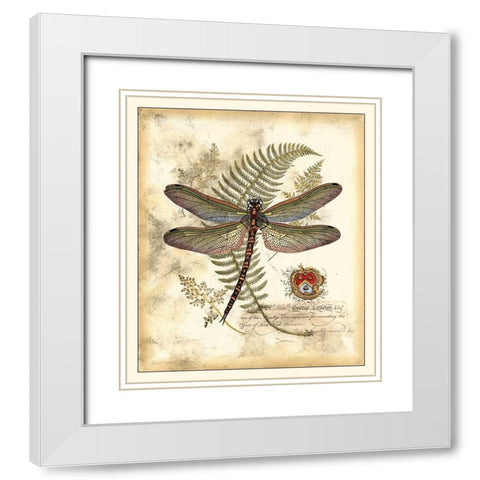 Regal Dragonfly I White Modern Wood Framed Art Print with Double Matting by Vision Studio