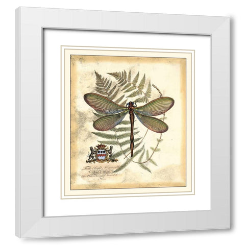 Regal Dragonfly II White Modern Wood Framed Art Print with Double Matting by Vision Studio