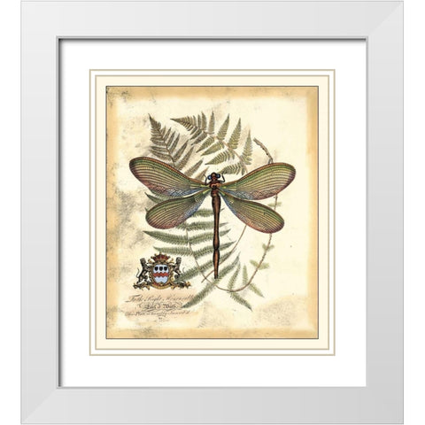 Regal Dragonfly II White Modern Wood Framed Art Print with Double Matting by Vision Studio