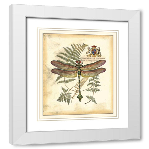 Regal Dragonfly III White Modern Wood Framed Art Print with Double Matting by Vision Studio