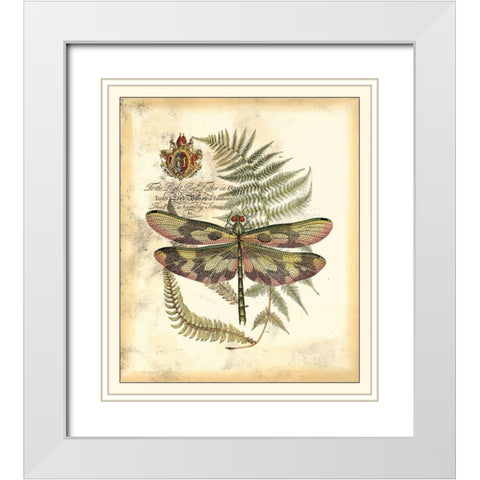 Regal Dragonfly IV White Modern Wood Framed Art Print with Double Matting by Vision Studio