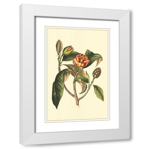 Flourishing Foliage I White Modern Wood Framed Art Print with Double Matting by Vision Studio