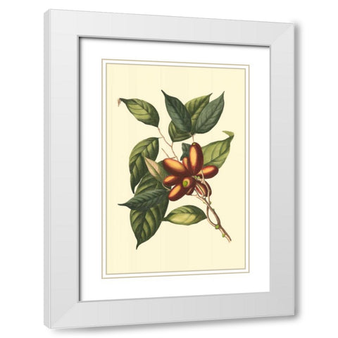 Flourishing Foliage II White Modern Wood Framed Art Print with Double Matting by Vision Studio