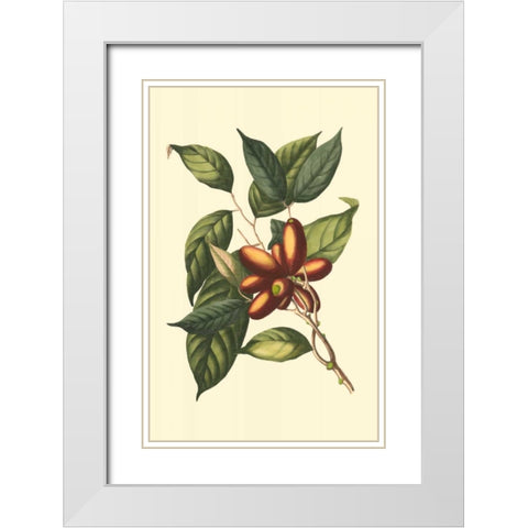 Flourishing Foliage II White Modern Wood Framed Art Print with Double Matting by Vision Studio