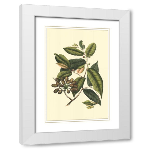 Flourishing Foliage III White Modern Wood Framed Art Print with Double Matting by Vision Studio