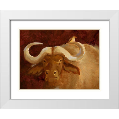 Cape Buffalo II White Modern Wood Framed Art Print with Double Matting by Green, Jacob