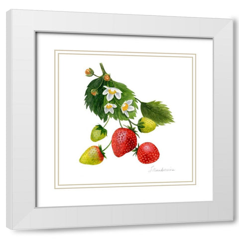 Strawberry Study I White Modern Wood Framed Art Print with Double Matting by Popp, Grace