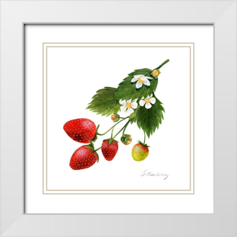 Strawberry Study II White Modern Wood Framed Art Print with Double Matting by Popp, Grace