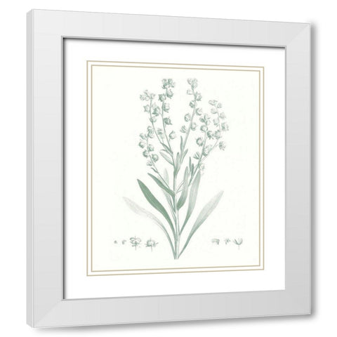 Botanical Study in Sage I White Modern Wood Framed Art Print with Double Matting by Vision Studio