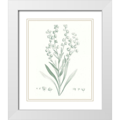 Botanical Study in Sage I White Modern Wood Framed Art Print with Double Matting by Vision Studio
