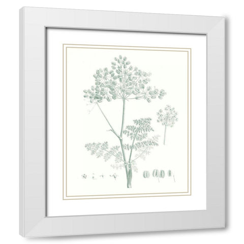 Botanical Study in Sage VI White Modern Wood Framed Art Print with Double Matting by Vision Studio