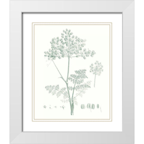 Botanical Study in Sage VI White Modern Wood Framed Art Print with Double Matting by Vision Studio