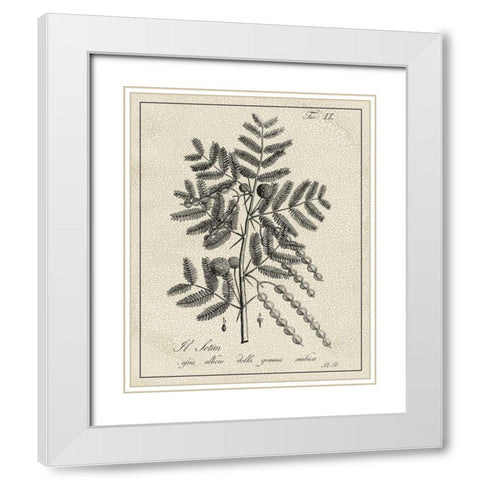 Antique Black and White Botanical I White Modern Wood Framed Art Print with Double Matting by Vision Studio