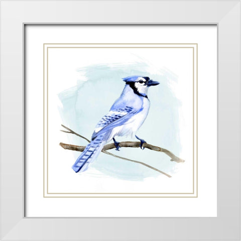 Coastal Blue Jay I White Modern Wood Framed Art Print with Double Matting by Green, Jacob
