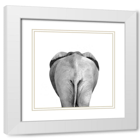 Back Up Plan II White Modern Wood Framed Art Print with Double Matting by Borges, Victoria