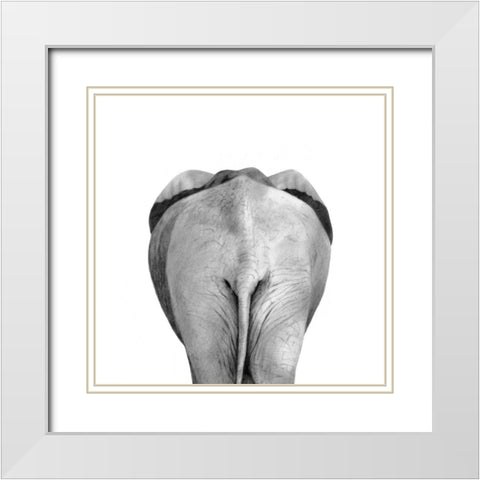 Back Up Plan II White Modern Wood Framed Art Print with Double Matting by Borges, Victoria