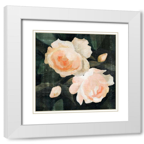 Soft Garden Roses I White Modern Wood Framed Art Print with Double Matting by Caroline, Emma
