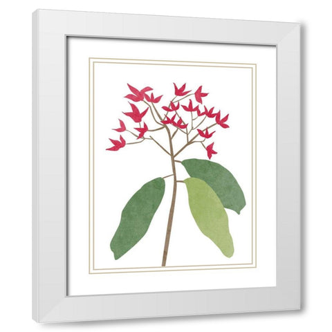 Begonia Stem I White Modern Wood Framed Art Print with Double Matting by Wang, Melissa