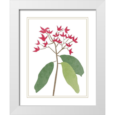 Begonia Stem I White Modern Wood Framed Art Print with Double Matting by Wang, Melissa