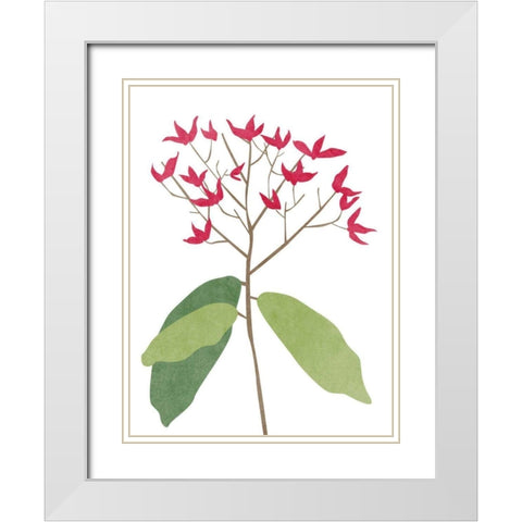 Begonia Stem II White Modern Wood Framed Art Print with Double Matting by Wang, Melissa