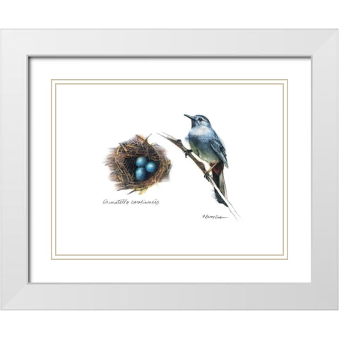 Bird and Nest Study II White Modern Wood Framed Art Print with Double Matting by Dean, Bruce
