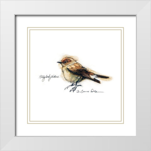 Songbird Study I White Modern Wood Framed Art Print with Double Matting by Dean, Bruce