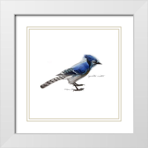 Songbird Study III White Modern Wood Framed Art Print with Double Matting by Dean, Bruce