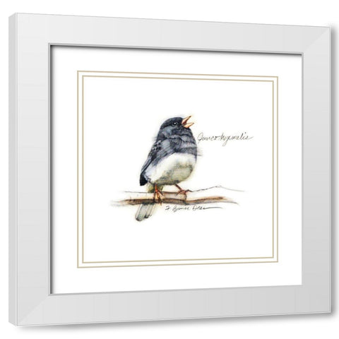 Songbird Study VI White Modern Wood Framed Art Print with Double Matting by Dean, Bruce