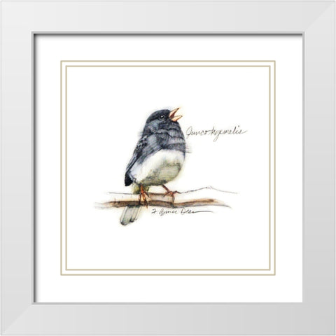 Songbird Study VI White Modern Wood Framed Art Print with Double Matting by Dean, Bruce