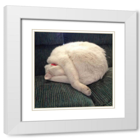 Cat Yoga I White Modern Wood Framed Art Print with Double Matting by Nob, R.