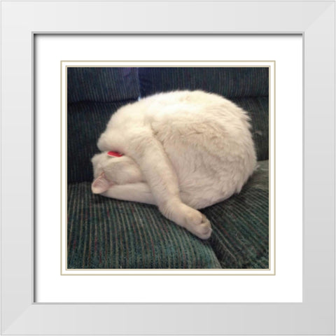 Cat Yoga I White Modern Wood Framed Art Print with Double Matting by Nob, R.