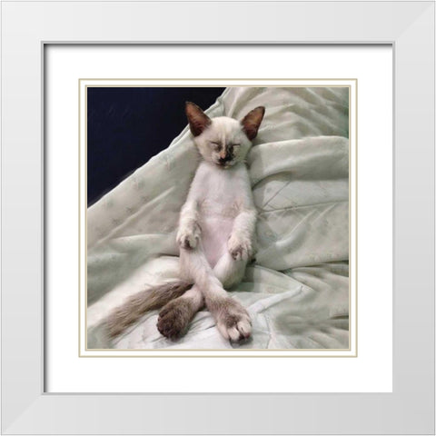 Cat Yoga II White Modern Wood Framed Art Print with Double Matting by Nob, R.