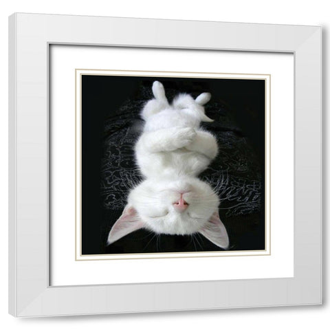 Cat Yoga III White Modern Wood Framed Art Print with Double Matting by Nob, R.