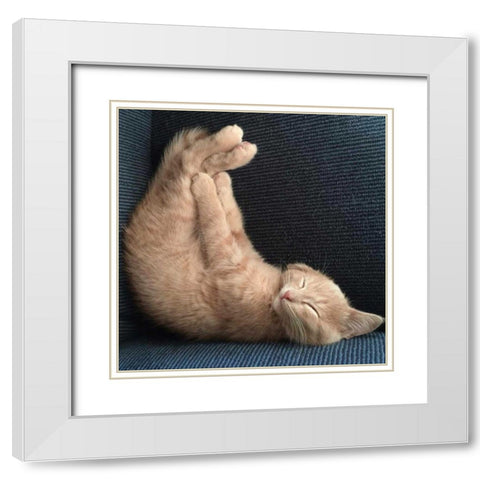 Cat Yoga VII White Modern Wood Framed Art Print with Double Matting by Nob, R.