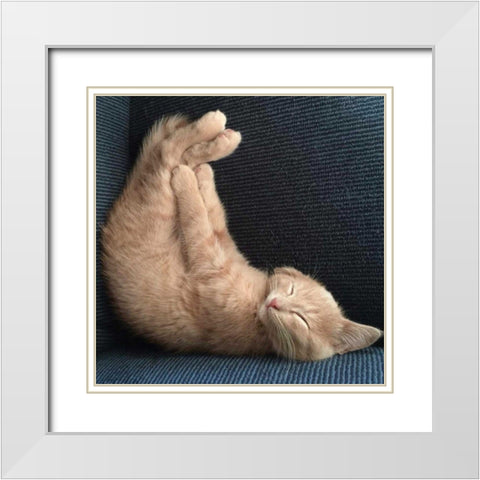Cat Yoga VII White Modern Wood Framed Art Print with Double Matting by Nob, R.