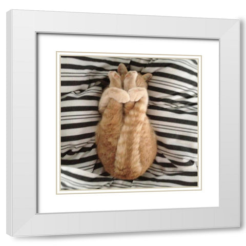 Cat Yoga IX White Modern Wood Framed Art Print with Double Matting by Nob, R.