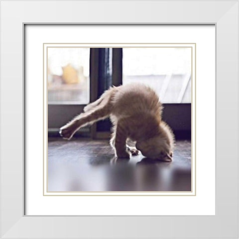 Cat Yoga X White Modern Wood Framed Art Print with Double Matting by Nob, R.