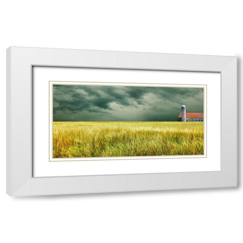 Yellow Field White Modern Wood Framed Art Print with Double Matting by McLoughlin, James