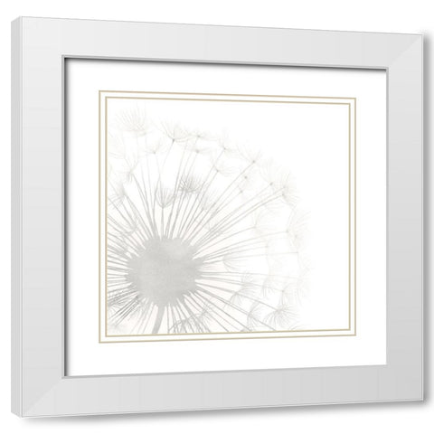 Dandelion Whisper I White Modern Wood Framed Art Print with Double Matting by Popp, Grace