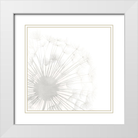 Dandelion Whisper I White Modern Wood Framed Art Print with Double Matting by Popp, Grace