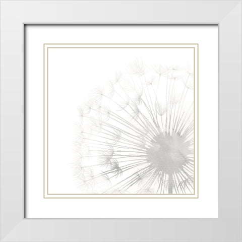 Dandelion Whisper II White Modern Wood Framed Art Print with Double Matting by Popp, Grace