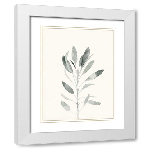Delicate Sage Botanical II White Modern Wood Framed Art Print with Double Matting by Caroline, Emma