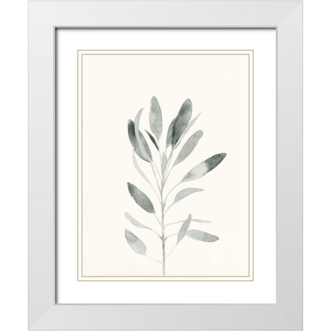Delicate Sage Botanical II White Modern Wood Framed Art Print with Double Matting by Caroline, Emma